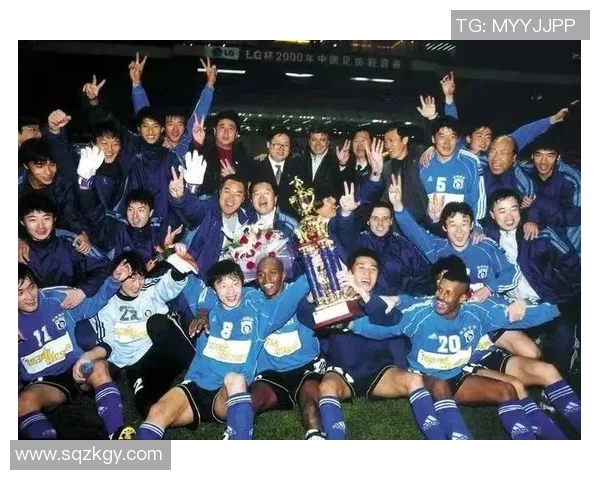 南湖足球明星阵容全景展示与精彩瞬间回顾